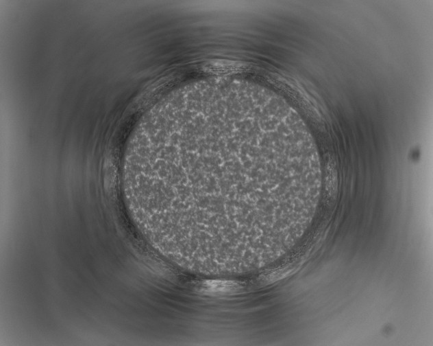 X0000116600371201001221303