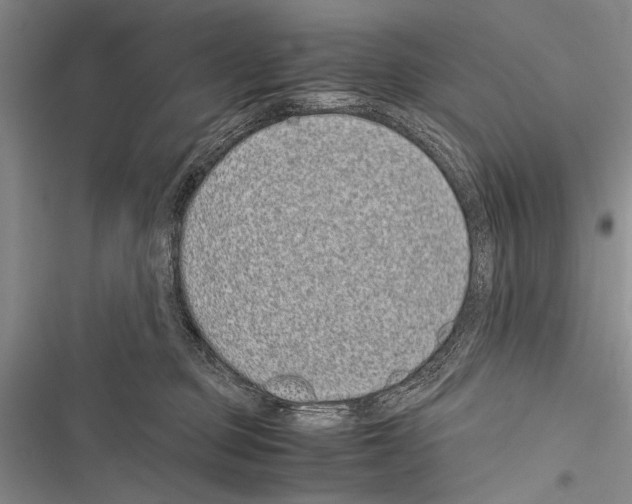 X0000116600373201001221303