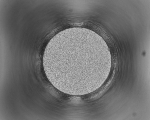 X0000116600374201001221303