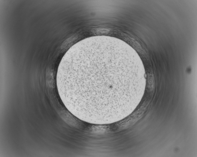 X0000116600378201001221303
