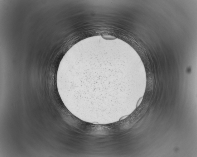 X0000116600379201001221303