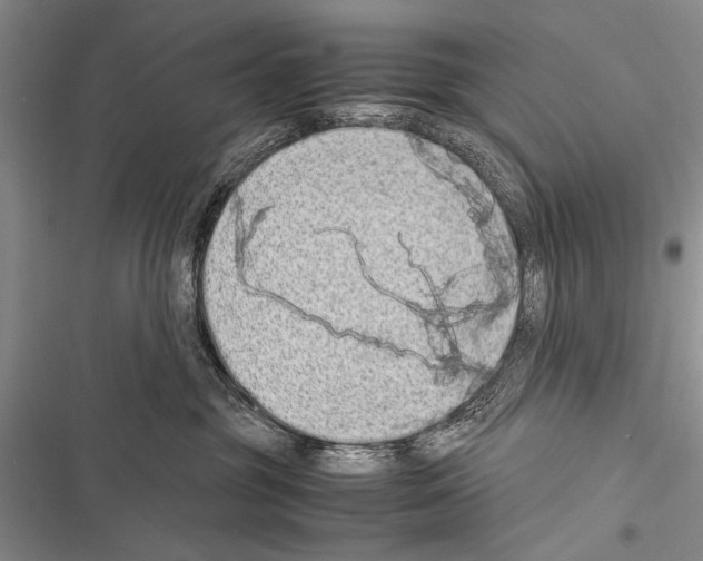 X0000116600381201001221303