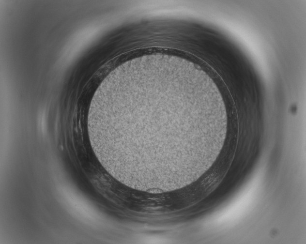 X0000116600382201001221303