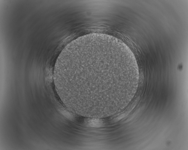 X0000116600383201001221303
