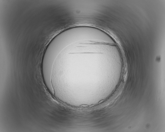 X0000116600385201001221302