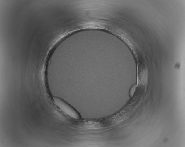 X0000116600387201001221302