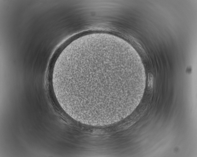 X0000116600388201001221302