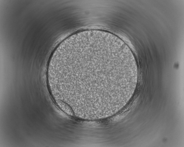 X0000116600389201001221302