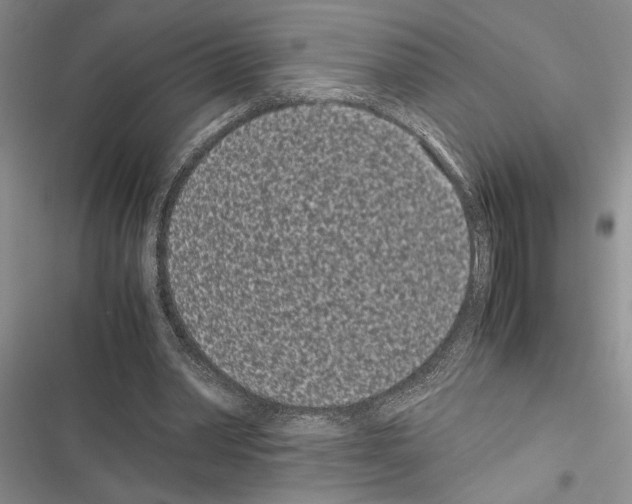 X0000116600390201001221302