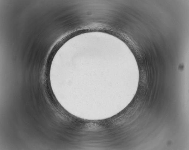 X0000116600392201001221302