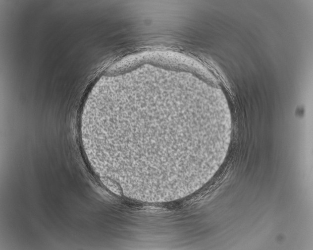 X0000116600393201001221302