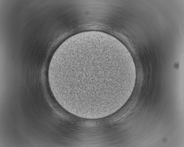 X0000116600394201001221302
