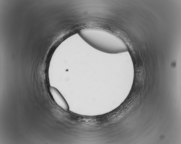 X0000116600395201001221302