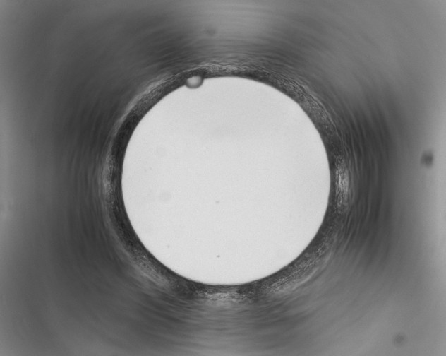 X0000116600396201001221302