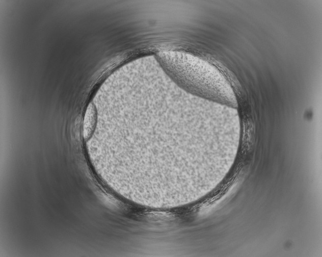X0000116600397201001221302