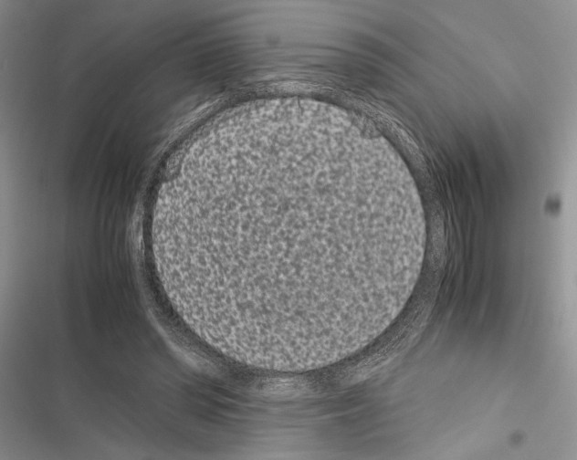 X0000116600398201001221302