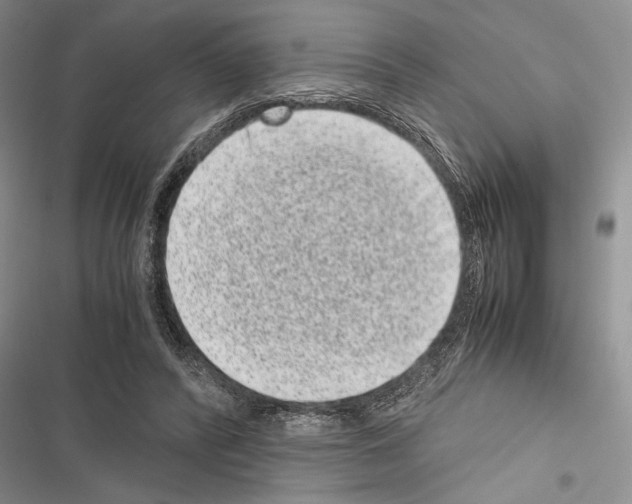 X0000116600400201001221302