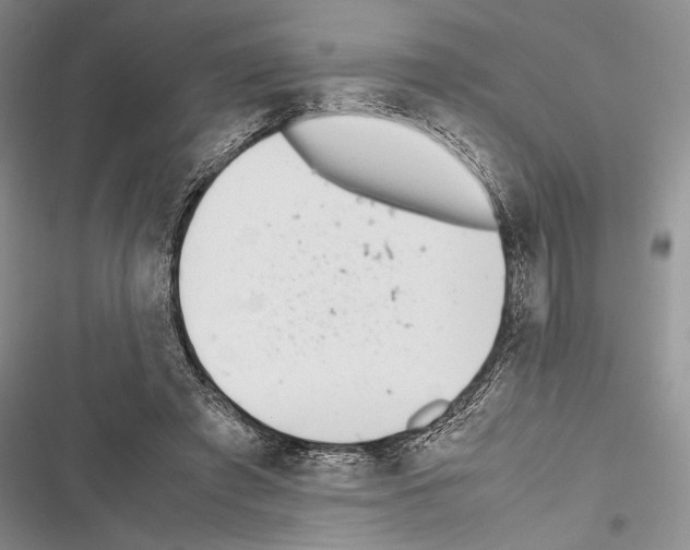 X0000116600401201001221302