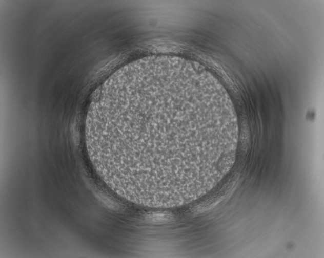 X0000116600402201001221302