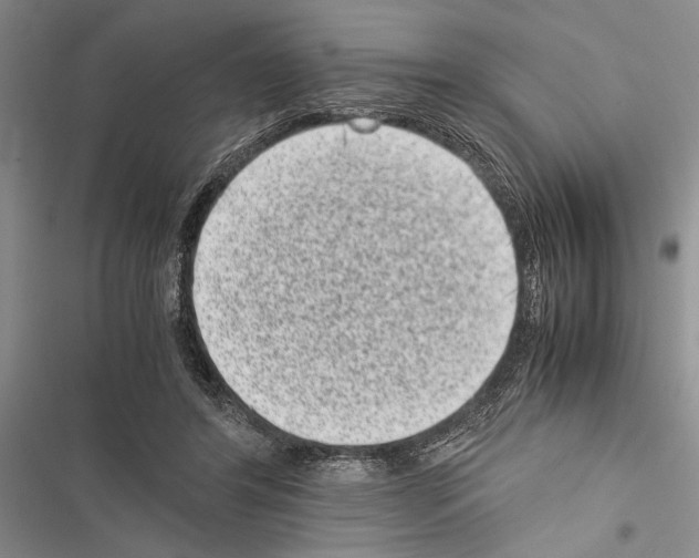 X0000116600404201001221302