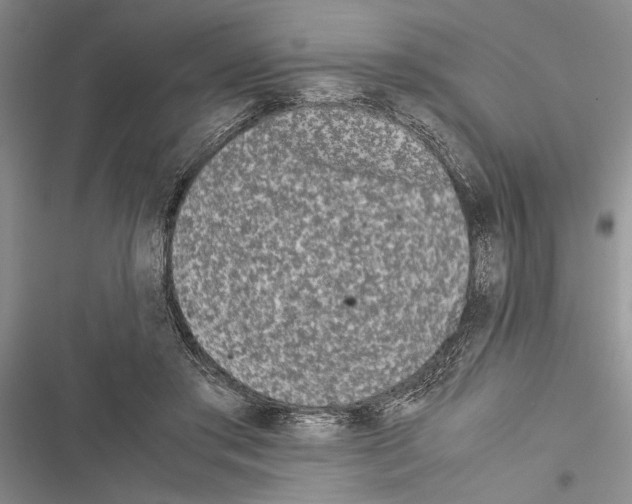 X0000116600405201001221302