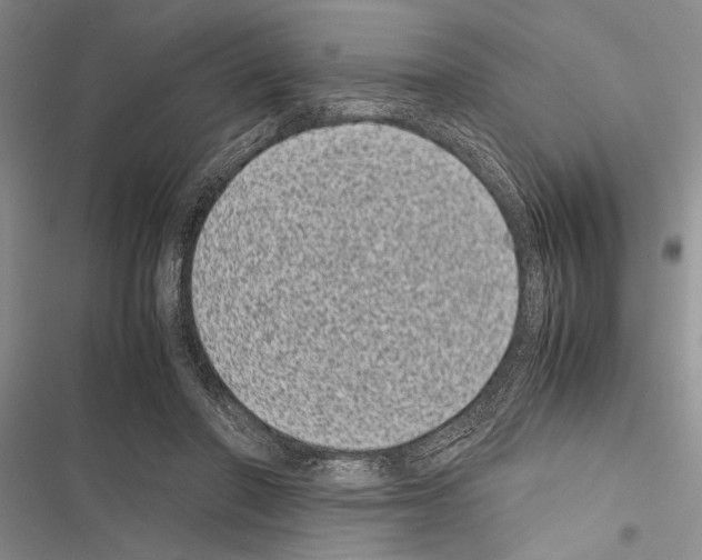X0000116600406201001221302