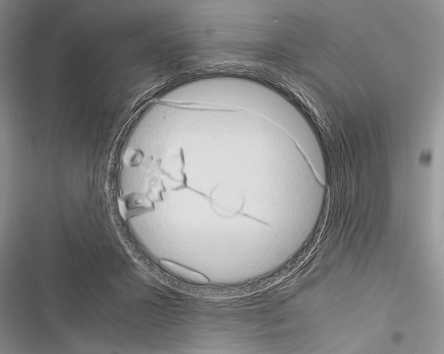 X0000116600407201001221302
