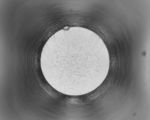 X0000116600408201001221302