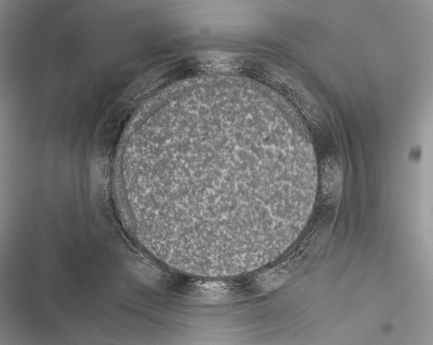 X0000116600409201001221302