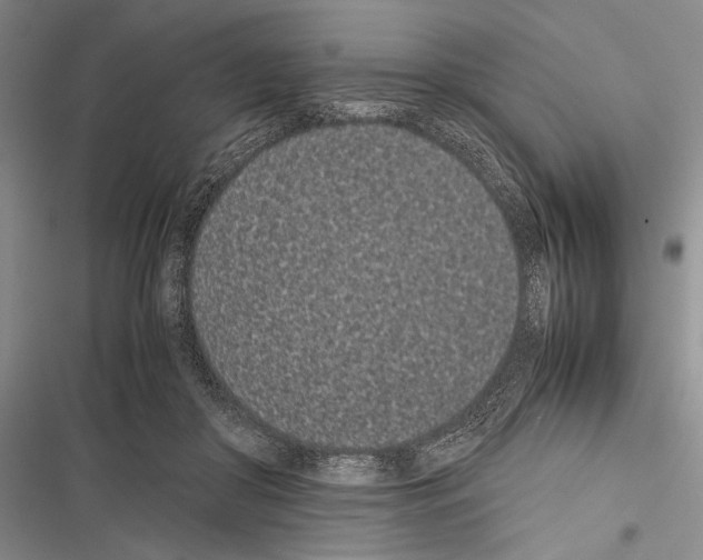 X0000116600410201001221302