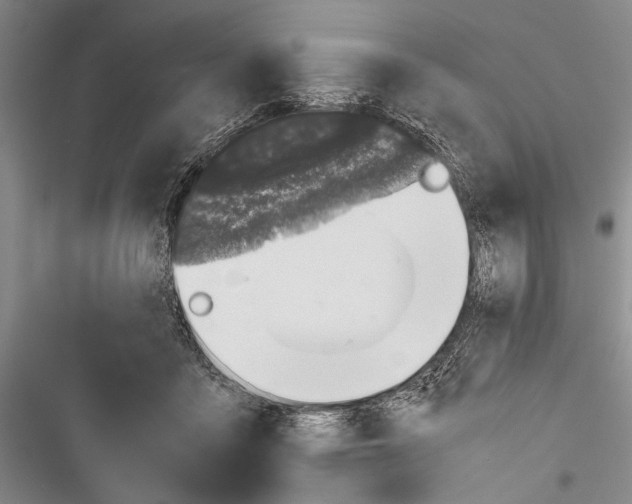 X0000116600411201001221302