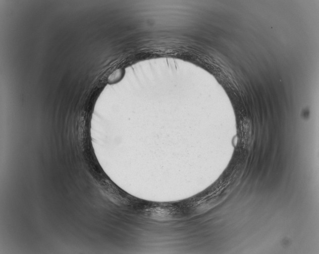 X0000116600412201001221302