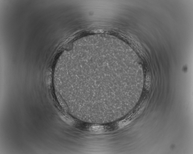 X0000116600413201001221302