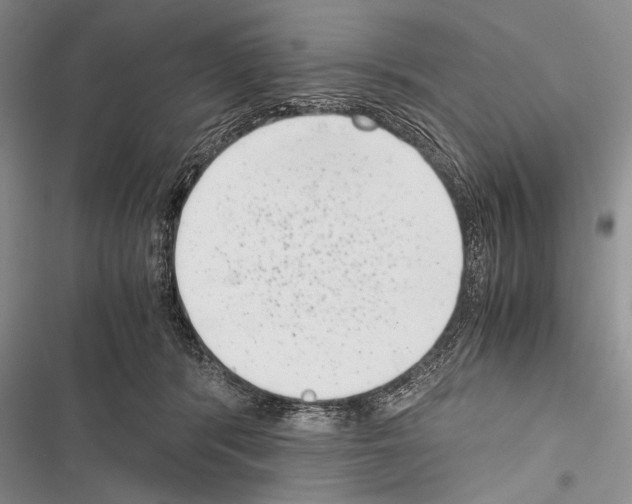 X0000116600416201001221302