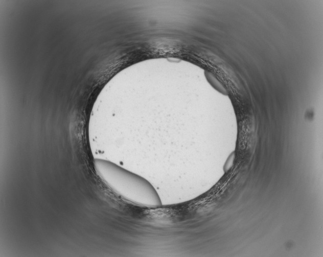 X0000116600417201001221302