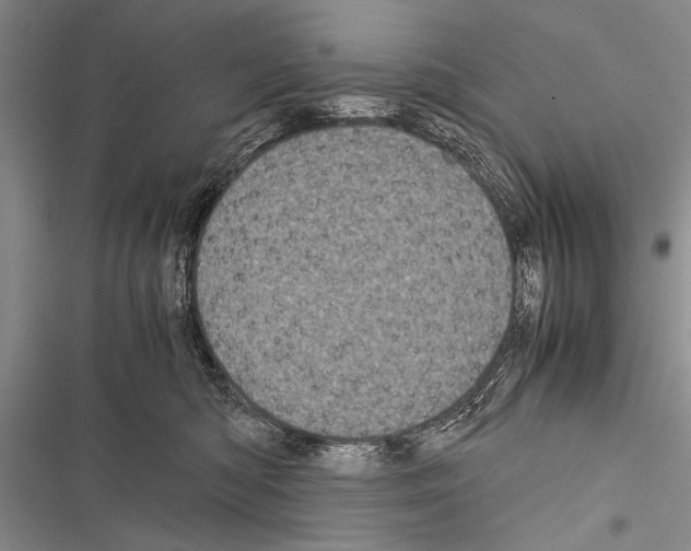 X0000116600422201001221302