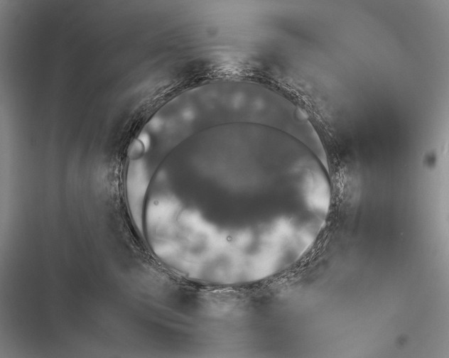 X0000116600423201001221302
