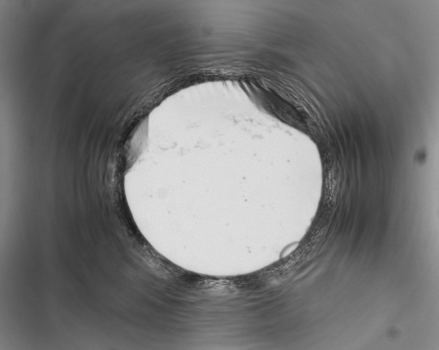 X0000116600424201001221302