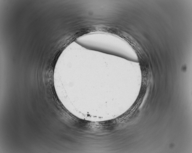 X0000116600425201001221302