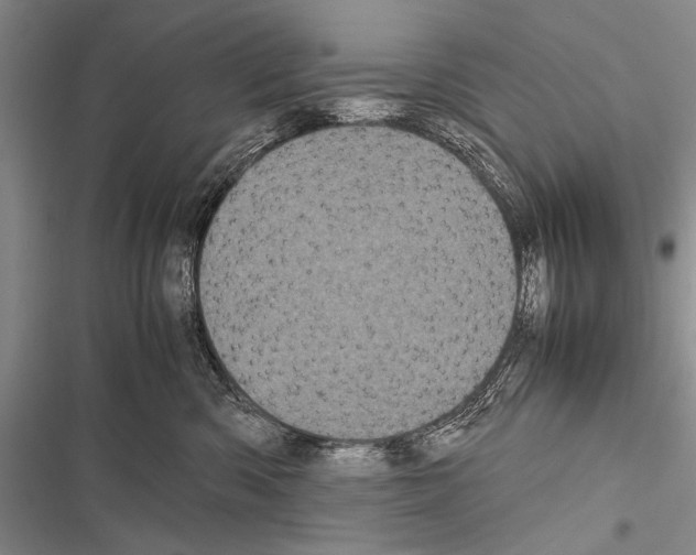 X0000116600426201001221302