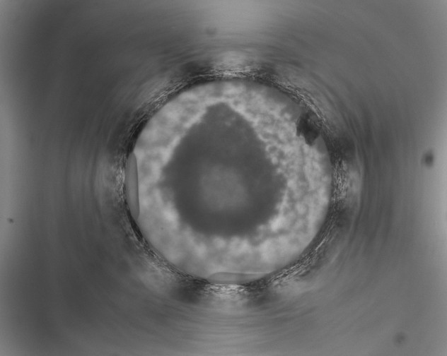 X0000116600427201001221302