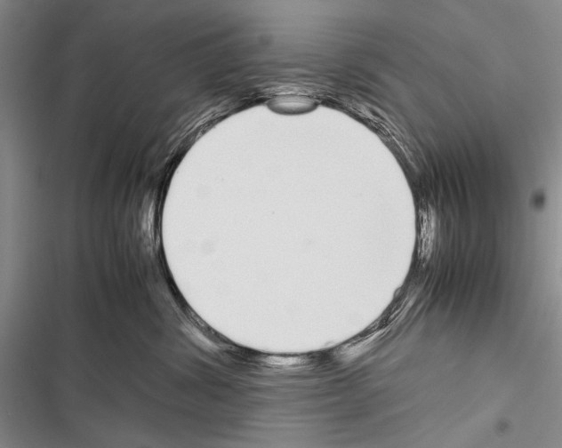 X0000116600428201001221302