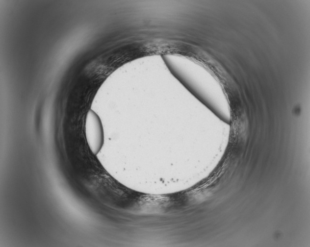 X0000116600429201001221301