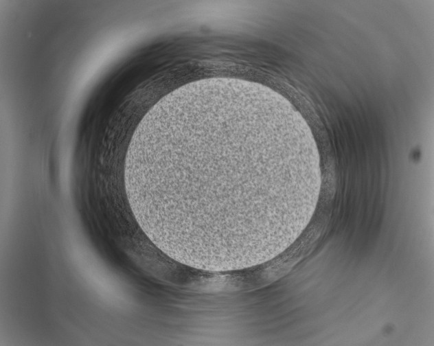X0000116600430201001221301