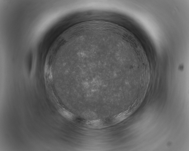 X0000116600431201001221301
