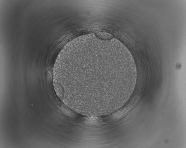 X0000116600432201001221301
