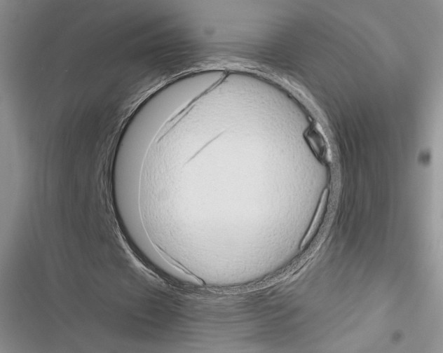 X0000116600433201001221301