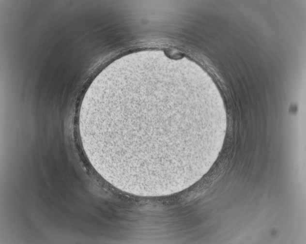 X0000116600434201001221301
