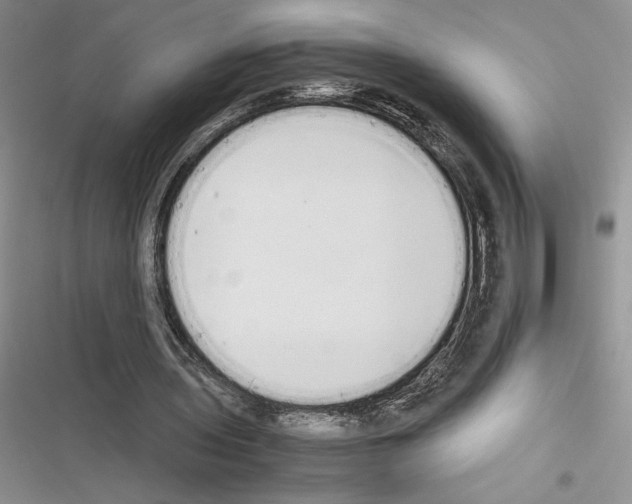 X0000116600435201001221301