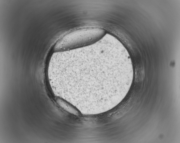 X0000116600436201001221301